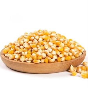 Yellow Maize Corn