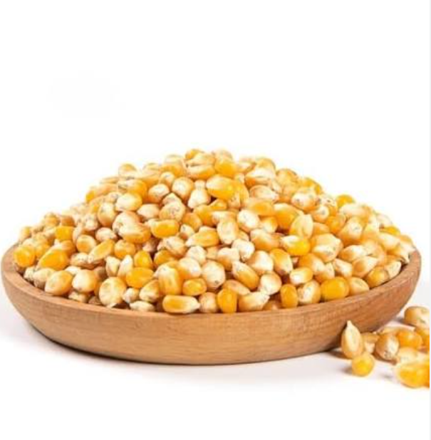 Capture Yellow Maize Corn