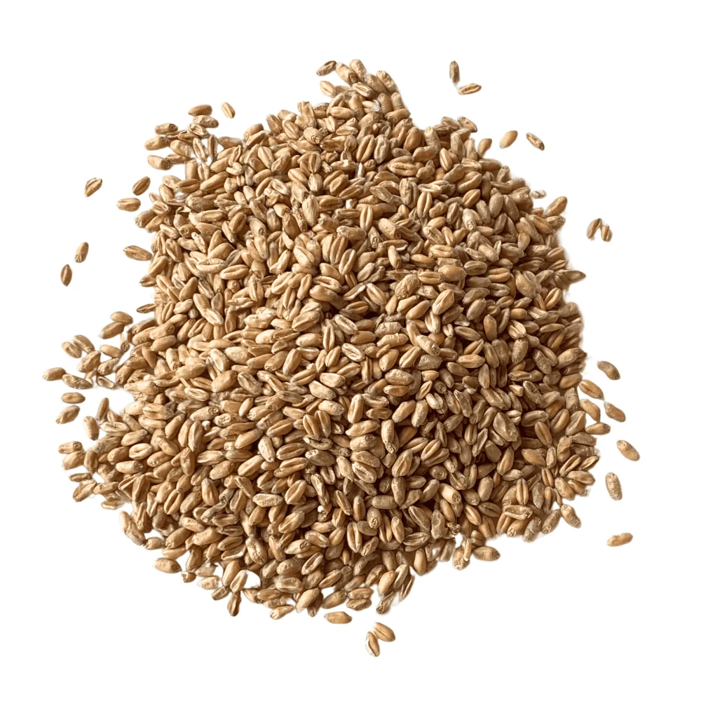 new milling wheat new milling wheat