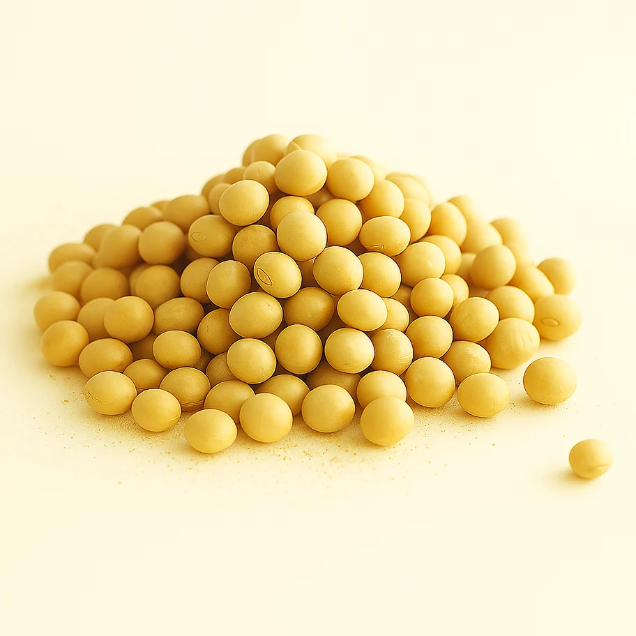 soybeans 1024x1024 soybeans 1024x1024