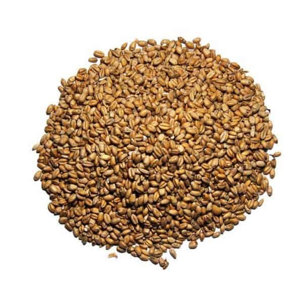 feed-wheat Feed Grade Wheat