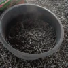 product-jpeg-500x500 Torrefied Wood Pellets / Black Pellets