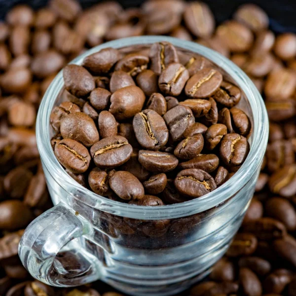 what are arabica beans what are arabica beans