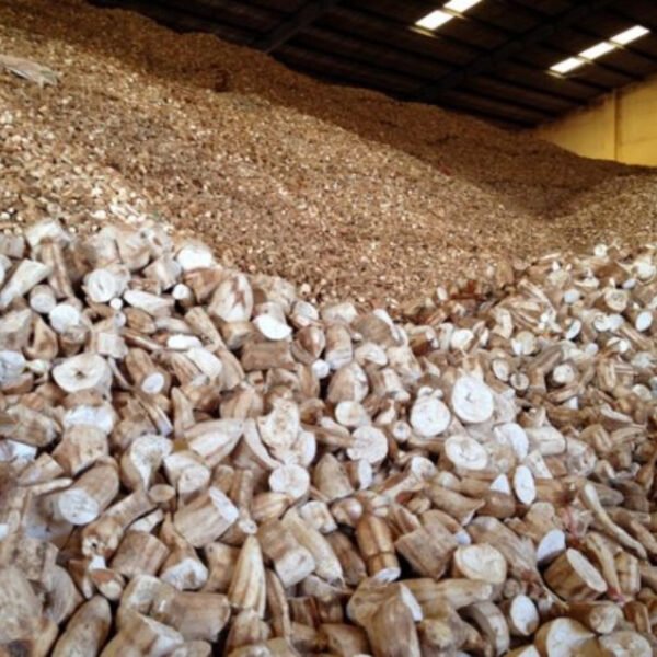 0611460001766282569-6356 Dried Cassava Chips - Feed & Industrial Grade