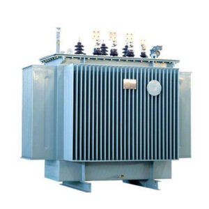1000 kVA 22kV/433V Three-Phase Oil-Immersed Distribution Transformer