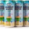 Grace Coconut Water – 500 ml