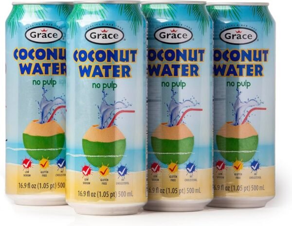 Grace Coconut Water – 500 ml