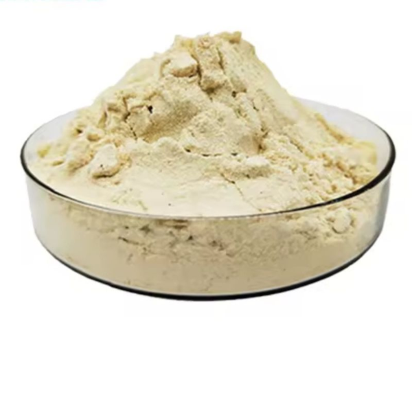 Ultra-Fine-Vanilla-Powder-Vanilla-Flavor-Powder Vanilla Flavour Powder Food Grade 20kg bag