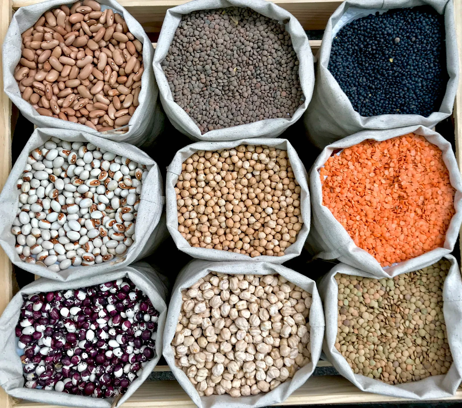 Arabica Coffee Beans