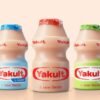 xr:d:DAFhfTf40e4:3,j:46131184489,t:23042913 Yakult Original – 65 ml