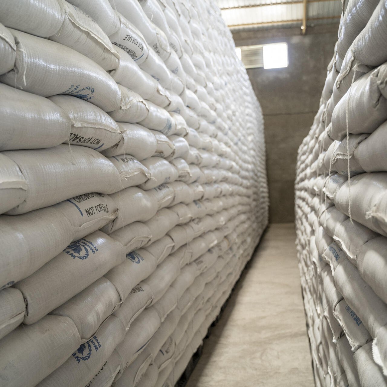 Botan Calrose Rice — 5kg