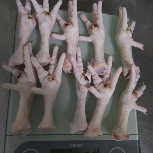 144-rsa-approved-frozen-chicken-feet-b-grade-1c02f188ff0e4d3eb524e042a2d68362-520x520 Frozen Chicken Feet / Paws, Grade A