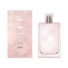 Burberry Brit Eau de Toilette 100ml