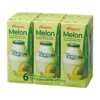Binggrae Melon Milk – 200 ml