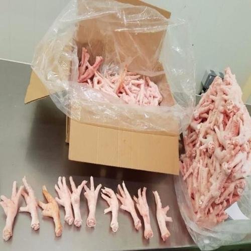 CNCA-Frozen-Chicken-Feet-Paws-Approved Frozen Chicken Feet / Paws, 60 g+