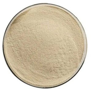 Fungal-Alpha-Amylase-Enzyme-Powder. High Methoxyl Pectin 150° SAG — 25kg bag