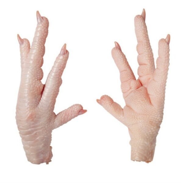 exporters-of-chicken-paws-feet-china-11712868934 Frozen Chicken Feet / Paws, 60 g+
