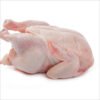 halal-frozen-whole-chicken Frozen Chicken Whole Birds, Halal