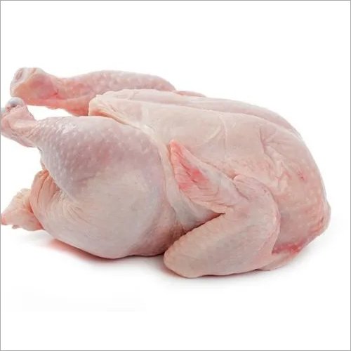halal-frozen-whole-chicken Frozen Chicken Whole Birds, Halal