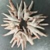 images (1) Frozen Chicken Feet / Paws, Grade A
