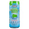 Grace Coconut Water – 500 ml