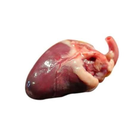 Frozen Chicken Hearts