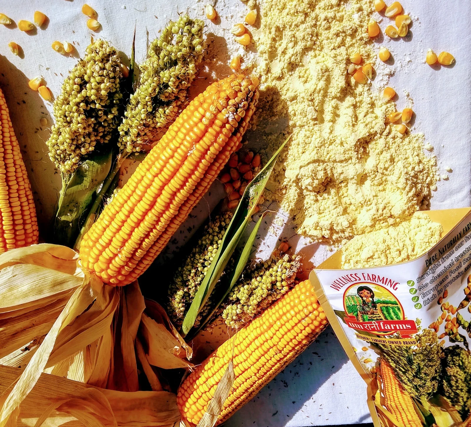 Aashirvaad Whole Wheat Atta — 5kg