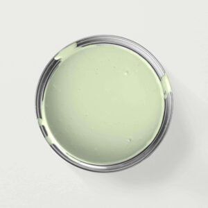 Interior Wall Paint 20L