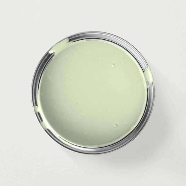 Interior Wall Paint 20L