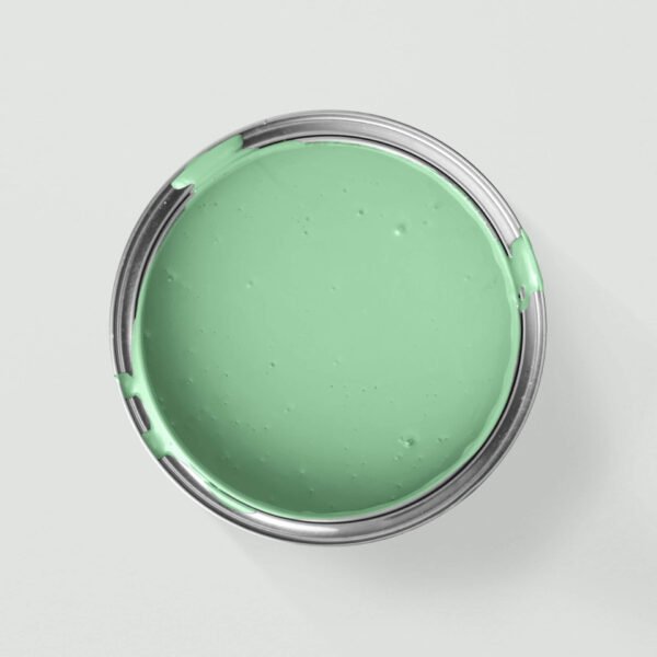 Interior Wall Paint 20L