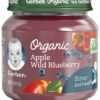 s-l1200 Gerber 2nd Foods Apple Blueberry – 113 g