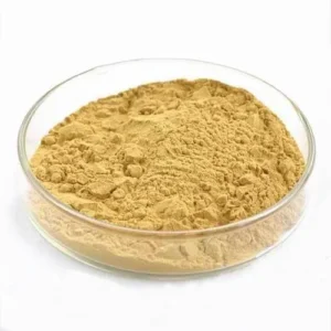 Yeast Extract Powder 70% Protein — 25kg bag